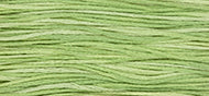 Wasabi by Weeks Dye Works